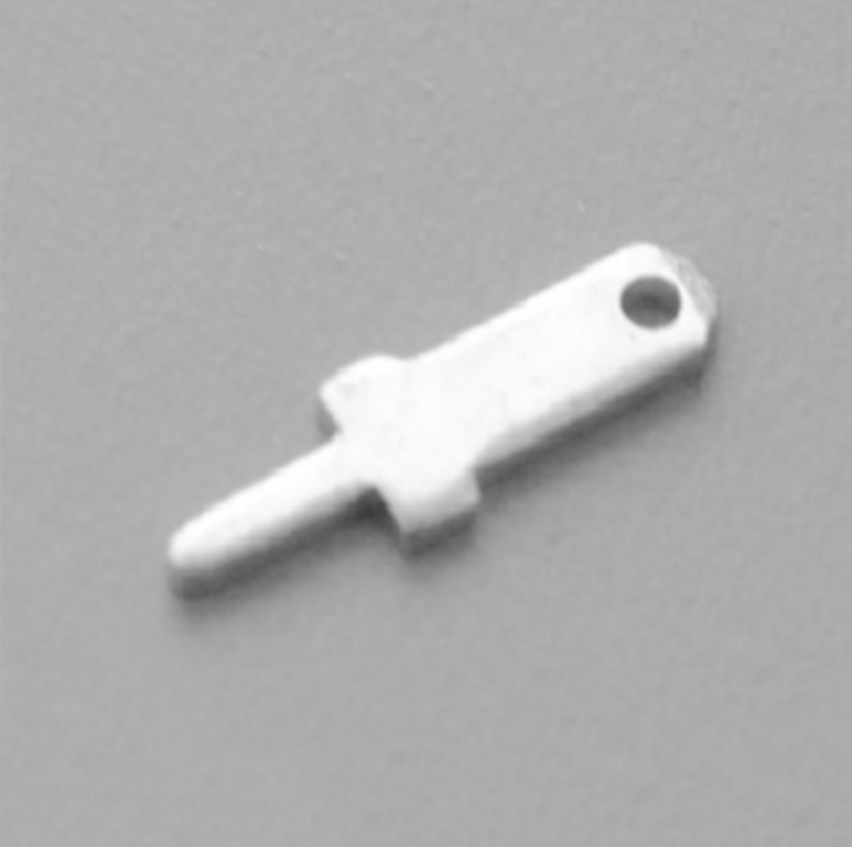 主