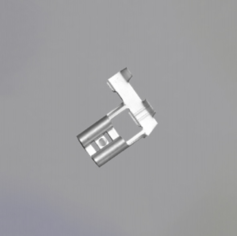 主