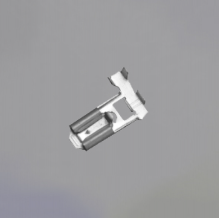 主