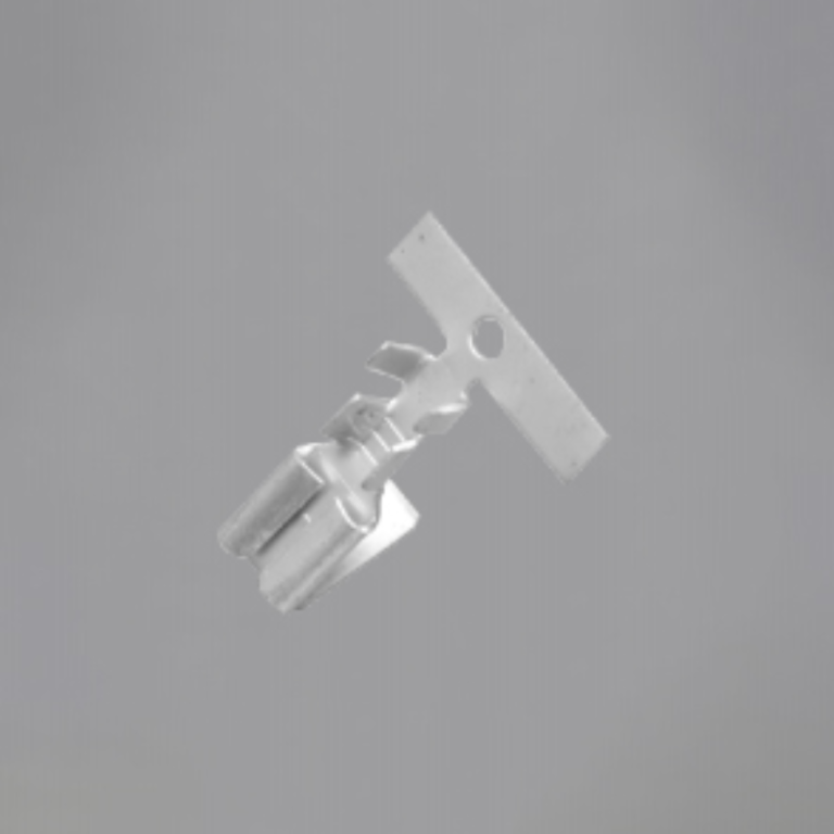 主
