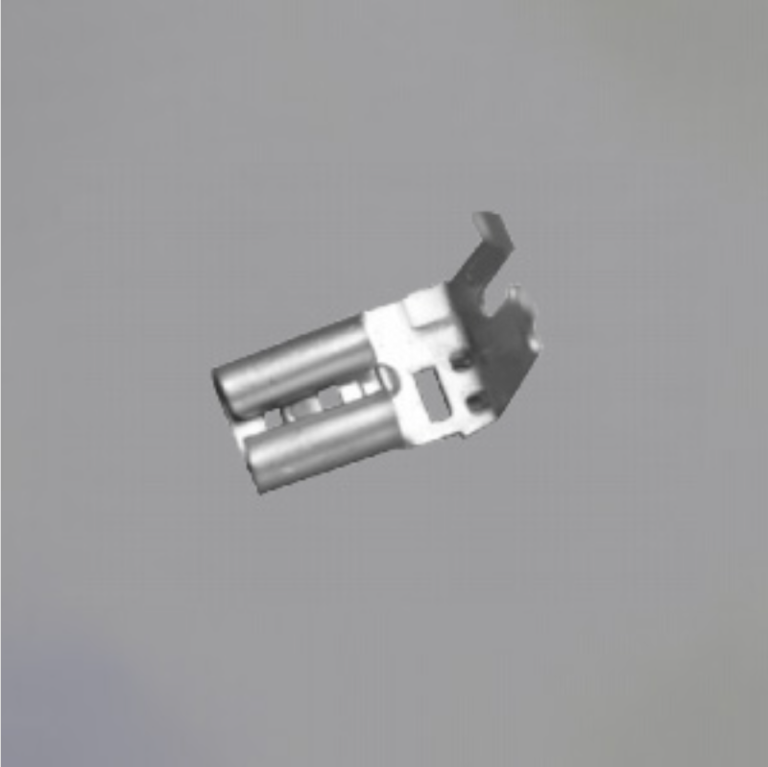 主