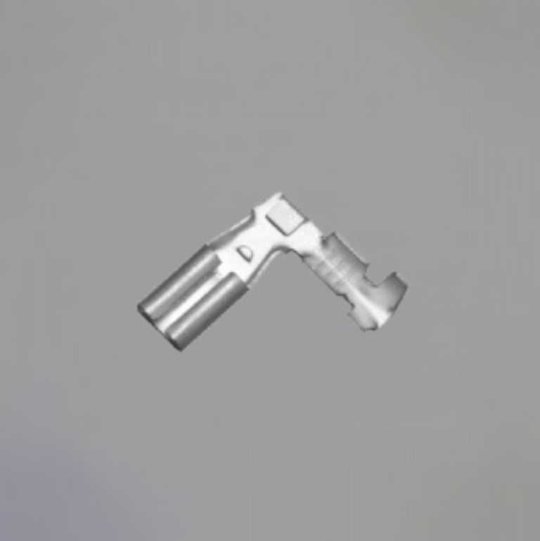 主