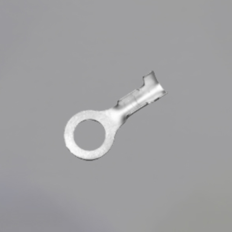 主