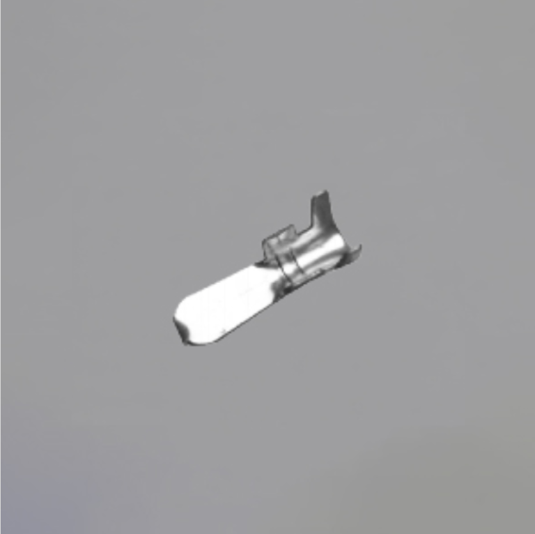 主