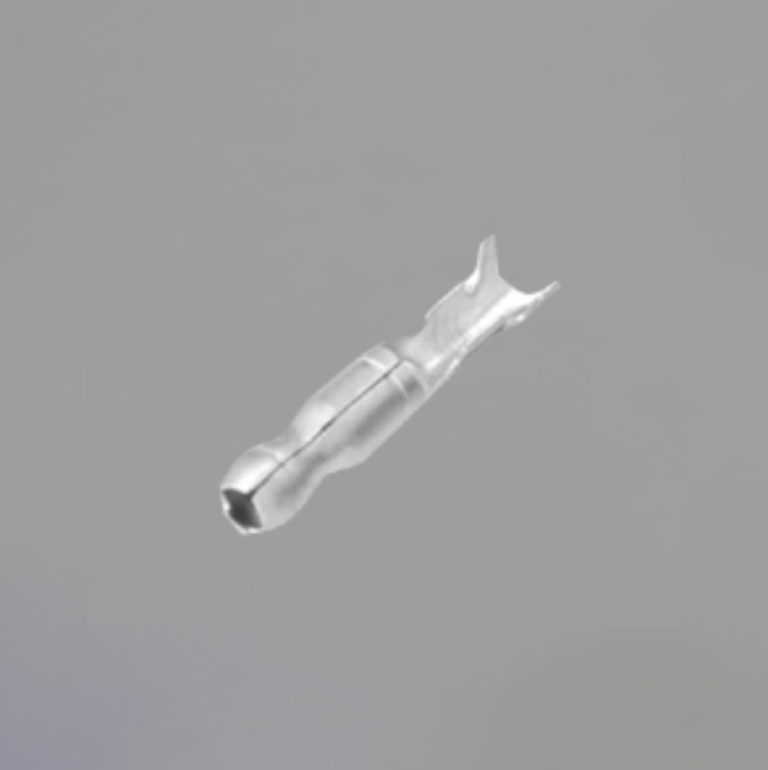 主
