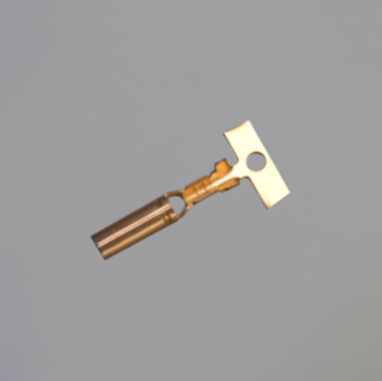 主
