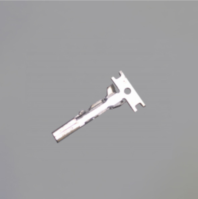 主