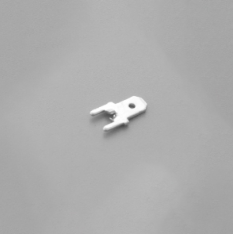 主1